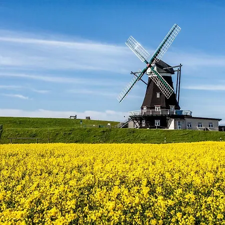 Gud Jard Nr 27 - Design-ferienhaus Mit Exklusiver Ausstattung Σπίτι διακοπών Pellworm