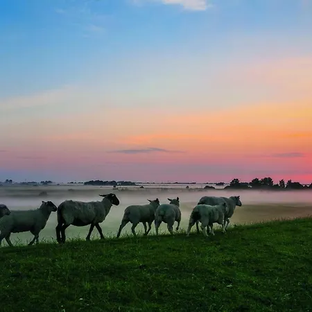 度假居 Gud Jard Nr 27 - Design-ferienhaus Mit Exklusiver Ausstattung