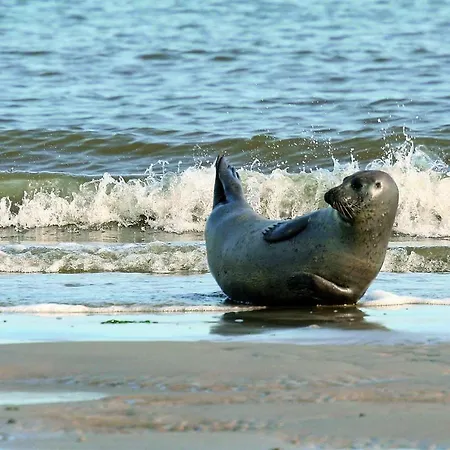 Gud Jard Nr 27 - Design-ferienhaus Mit Exklusiver Ausstattung 佩尔沃姆